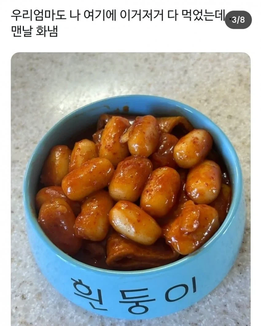 엄마가 이 그릇 좀 그만 쓰라고 화냄_2.webp