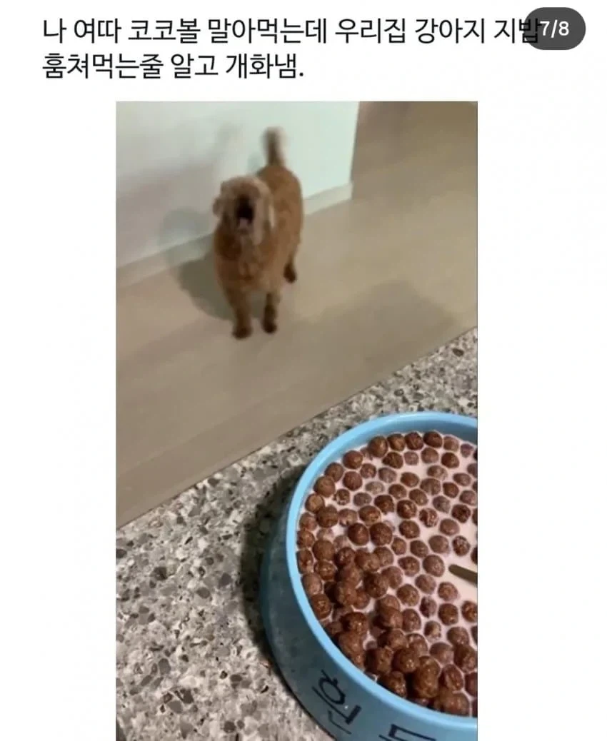 엄마가 이 그릇 좀 그만 쓰라고 화냄_5.webp