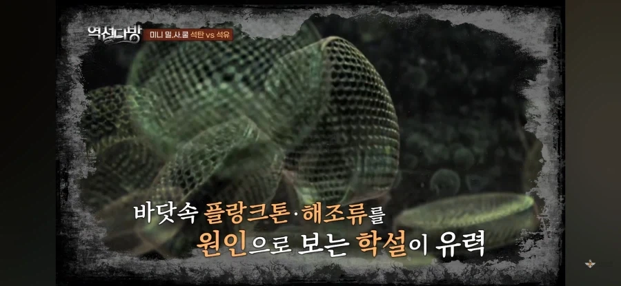 전문가,
