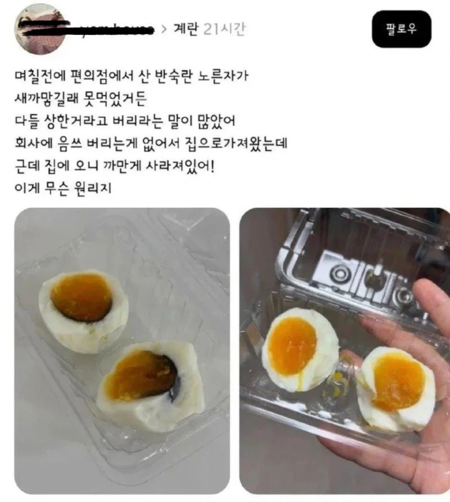 "상식적으로 파일럿 꼴박하는게 말이됨?" 이미지 2