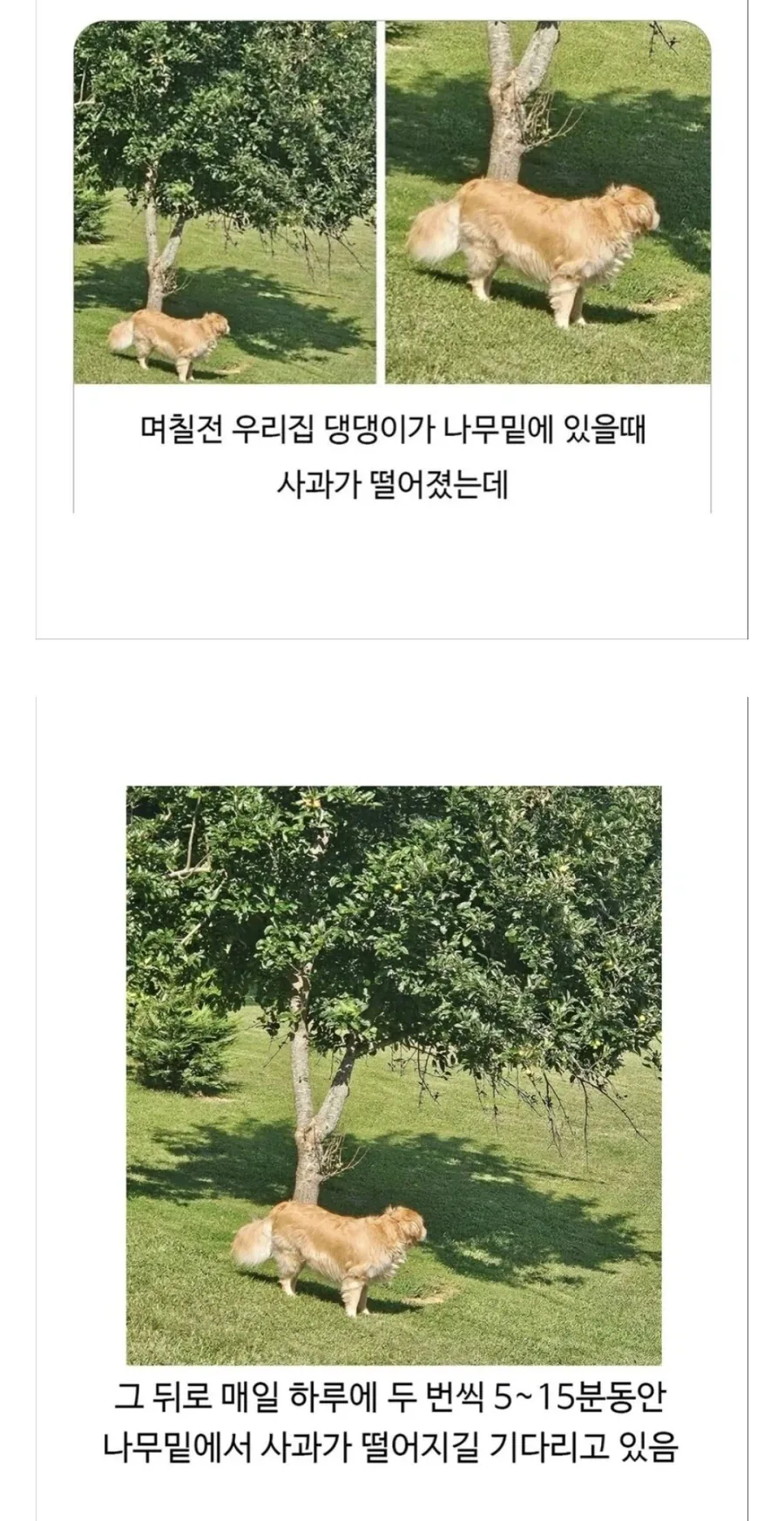 흔한 여름방학 가정통신문 이미지 5
