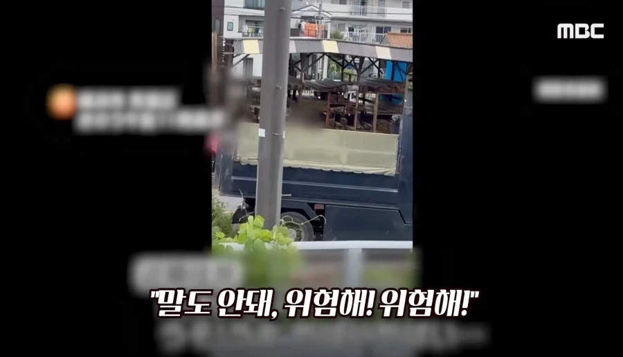 전차로 GO_2.webp