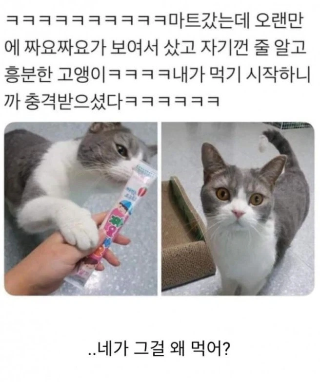 남자 자취방에서 호불호 갈린다는 상황.jpg 이미지 6