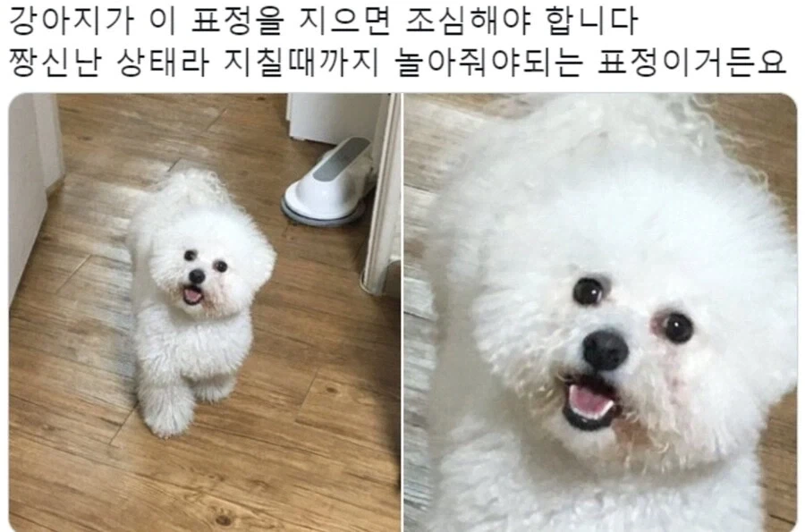 중국 심판을 매수했는데도 이기지 못한 이유... 이미지 4