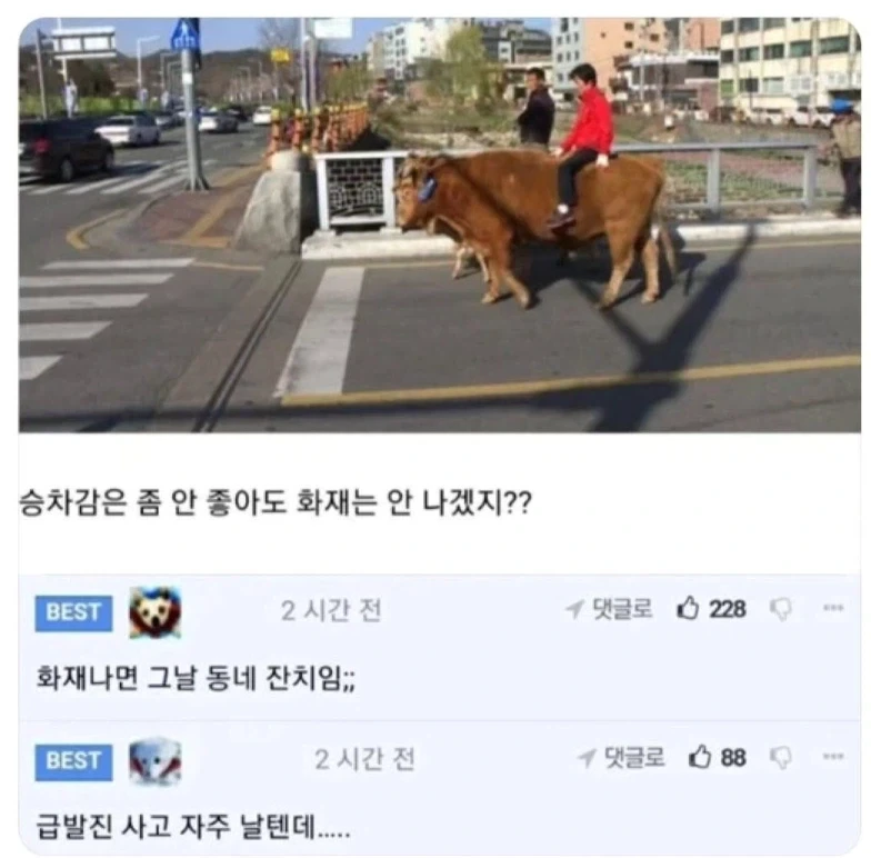 도로롱 : 제발 아니 대표 이미지
