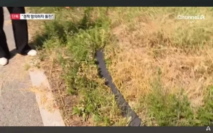 60평생에 죽여보란다고 진짜 죽여버릴려는 놈 처음만난 할매_5.webp