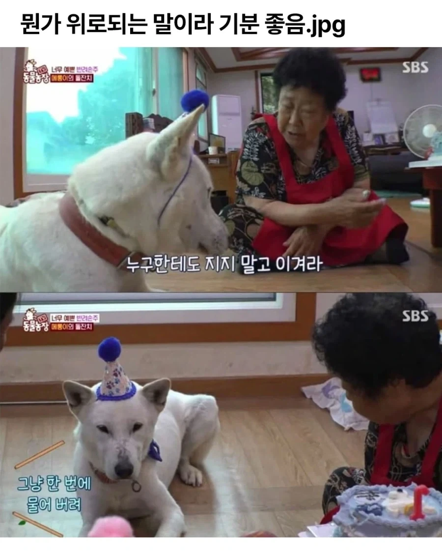 만 18세 소년, 306년만에 최연소 남자 교수 기록 경신 이미지 4