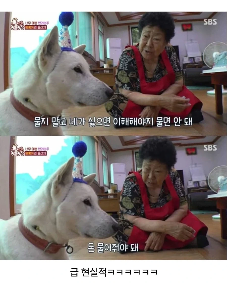 현실적인 조언을 해주는 할무니_2.webp