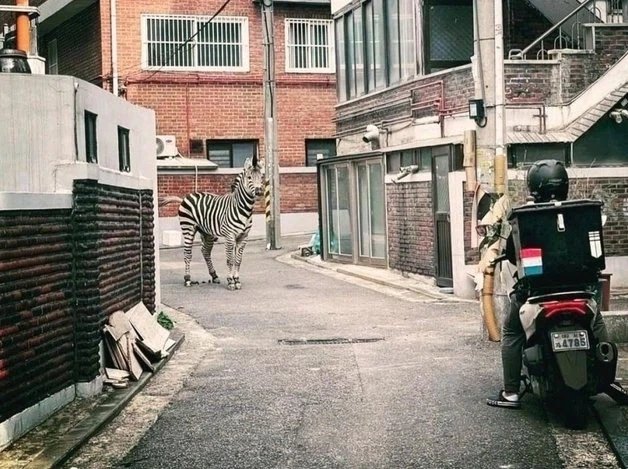 NEW 백투더 퓨쳐 ㅋ 이미지 2