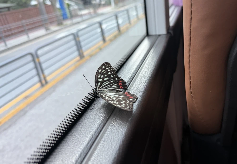자동차 매장 방문시 인사 꿀팁 대표 이미지