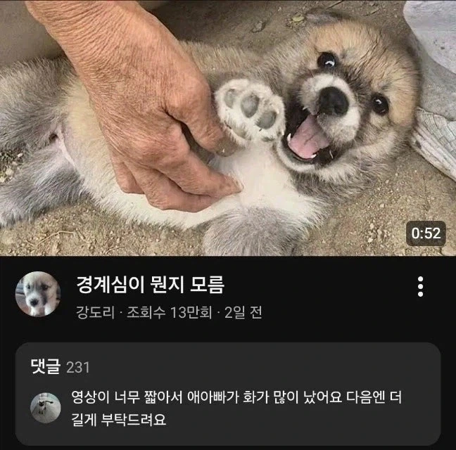 이상한 고양이랑 미쿠 이미지 3