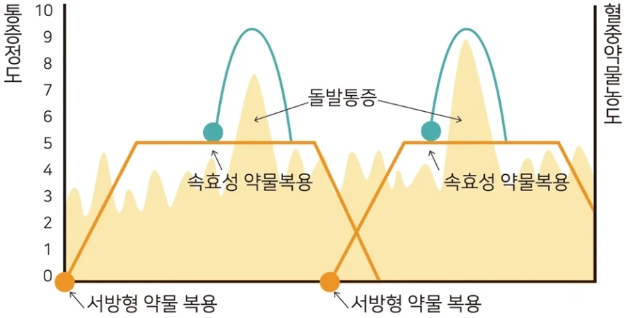 엔드필드) 지랄 마렴 펠리카 이미지 3