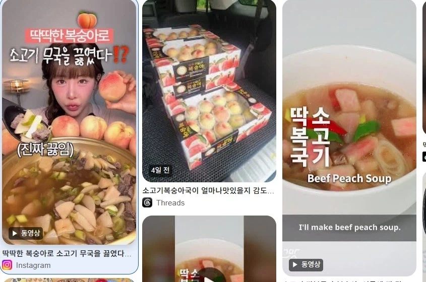 자가로 된 집에 이거 있음 다들 기겁함 이미지 2