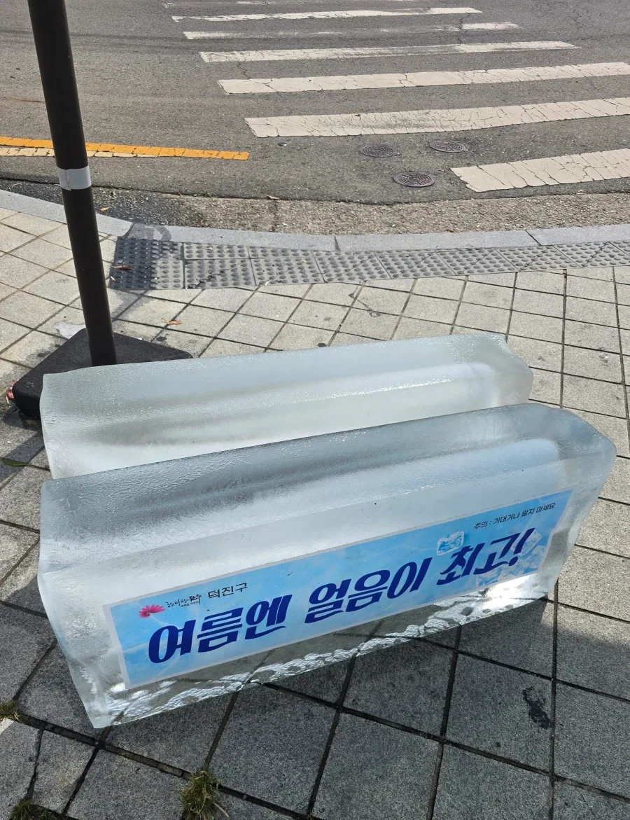우리 동네에 왠 불법 이민자가 산다길래 찾아가봤다 ㅋㅋ 대표 이미지