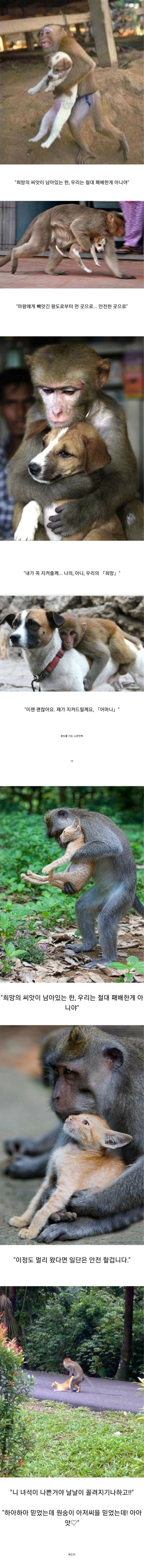 빙과라고쓰고냥말가게라고읽는다) 으아 ♥스해 ♥스!!!! 대표 이미지