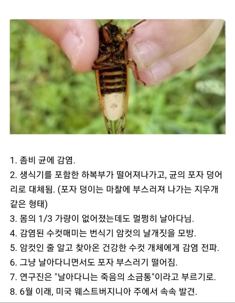지옥에 온 ㅅㅌ를 세뇌하는 서큐버스 만화 대표 이미지