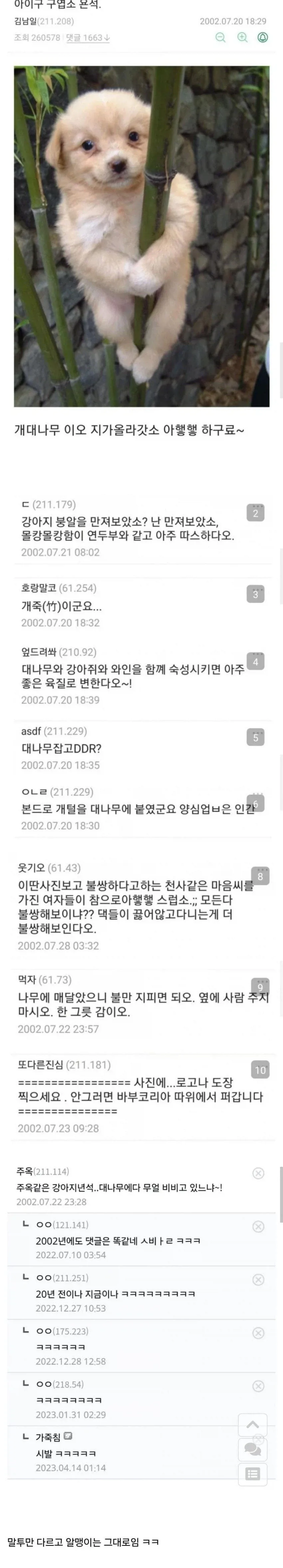 이동진 쯧쯧 영알못 대표 이미지