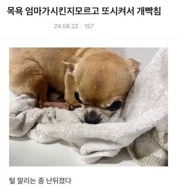 어쌔신크리드4 공식 콜라보 피규어 대표 이미지