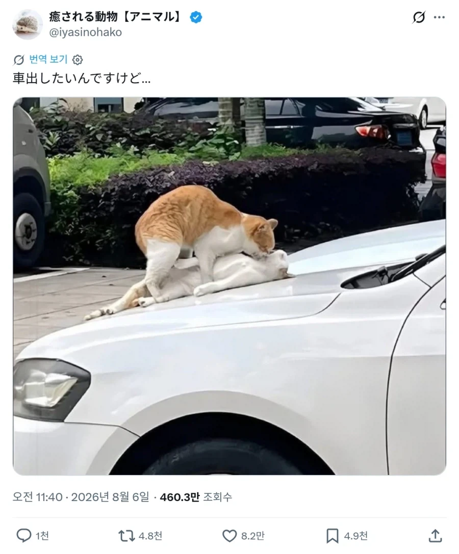 앱스타인 섬에 갔던 스티븐 호킹 대표 이미지