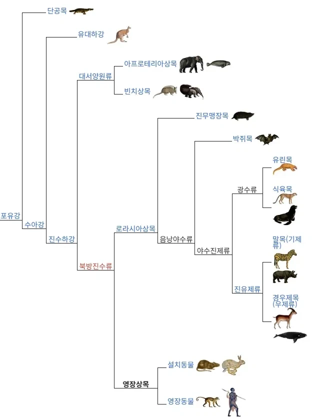 등운동 할 때의 마음가짐.jpg 이미지 4