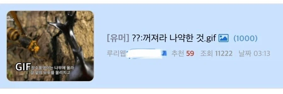 등운동 할 때의 마음가짐.jpg 이미지 3