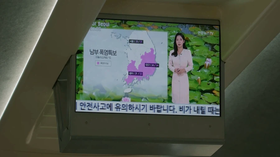장성한 정종철 아들 이미지 5