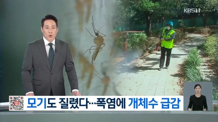 금발 여우소녀 TSF 판데믹 발생 이미지 3