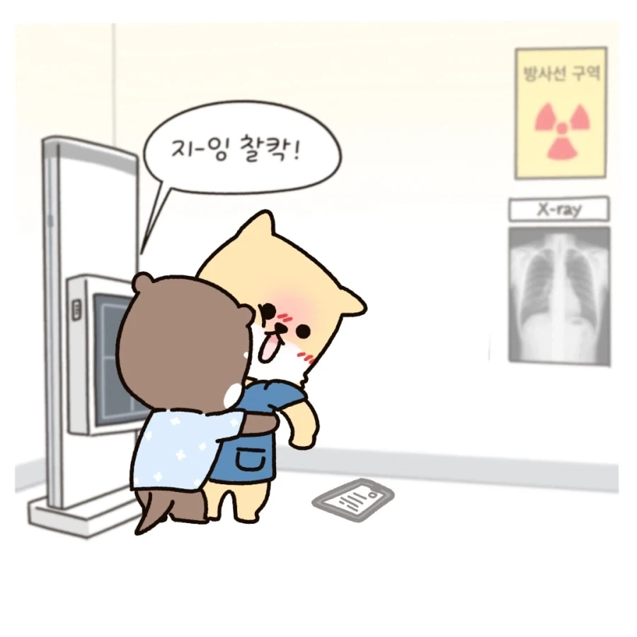 엑스레이 촬영 행동 요령_3.webp