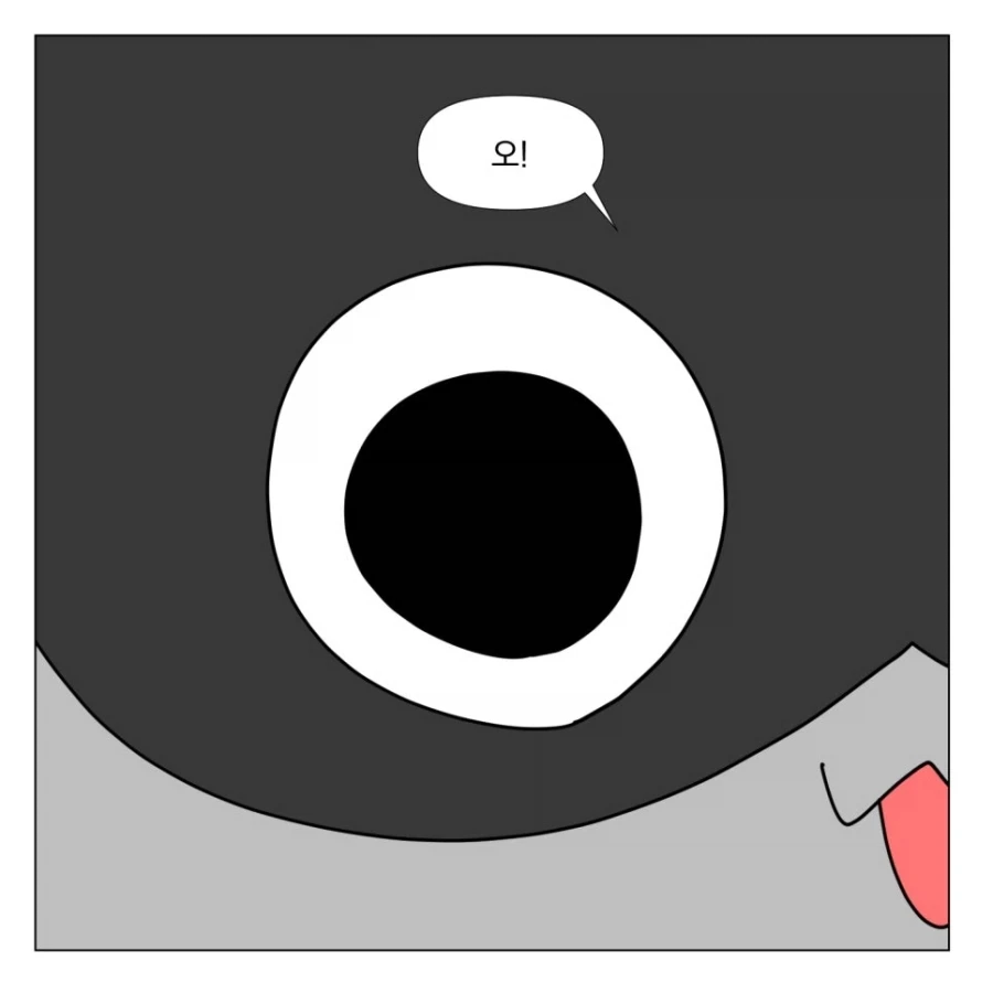 아무도 존재를 몰랐던 영화_2.webp
