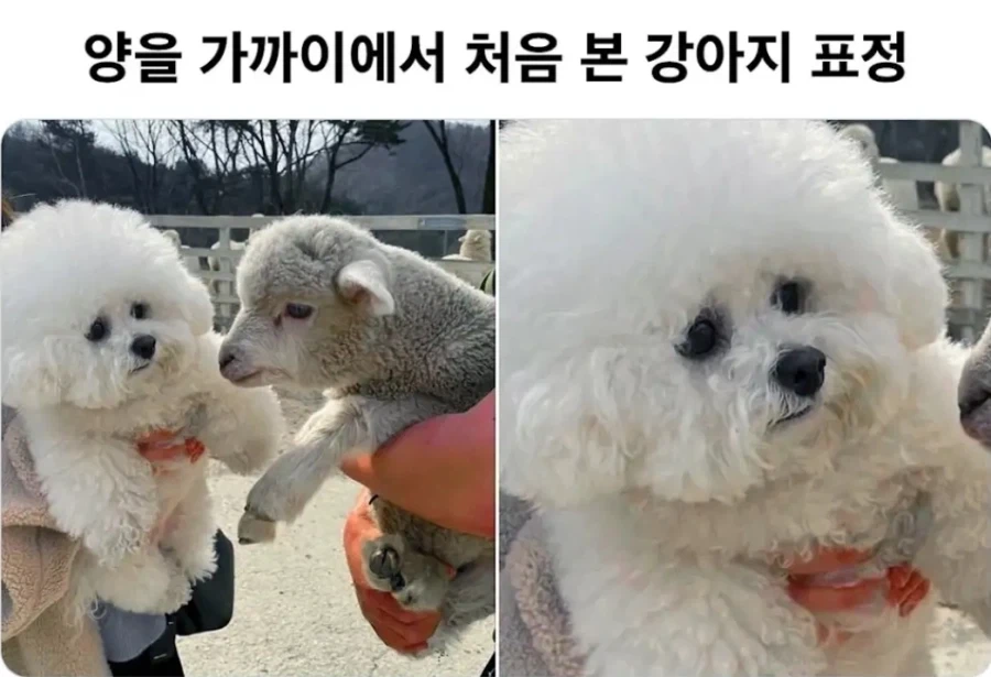 친척이랑 관계... 대표 이미지
