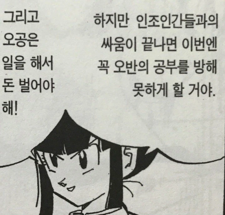 보면 많이들 실망하는 원본.jpg 이미지 2