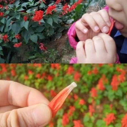 철로는 연철이라서 잘 휜다 대표 이미지
