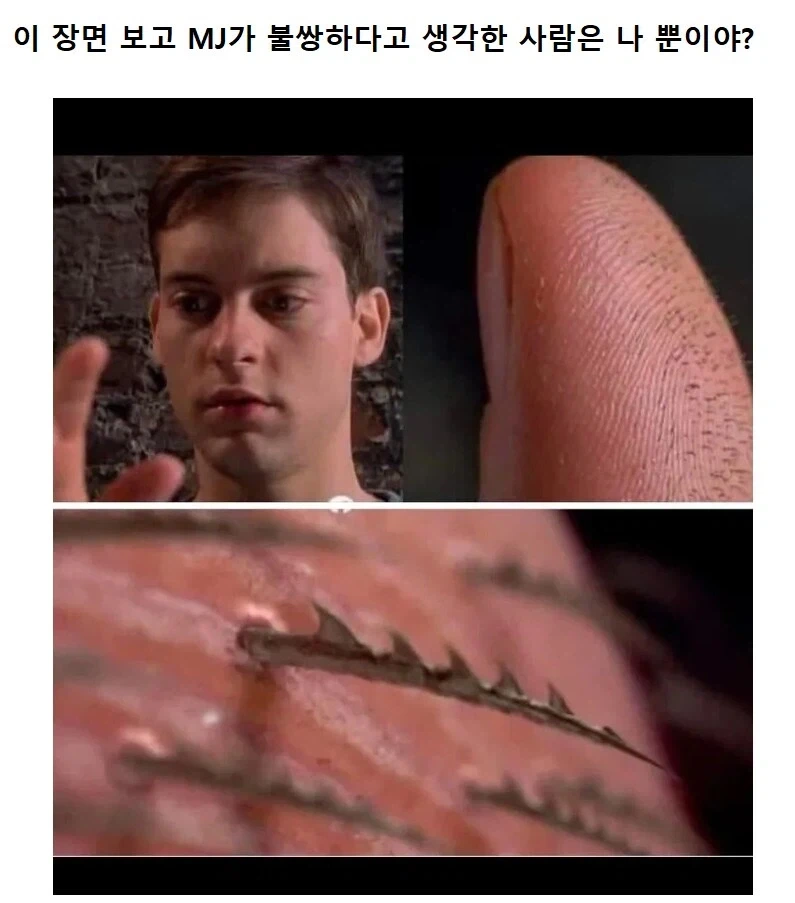 개인적인 레데리 2 최고의 캐릭터.jpg 이미지 5