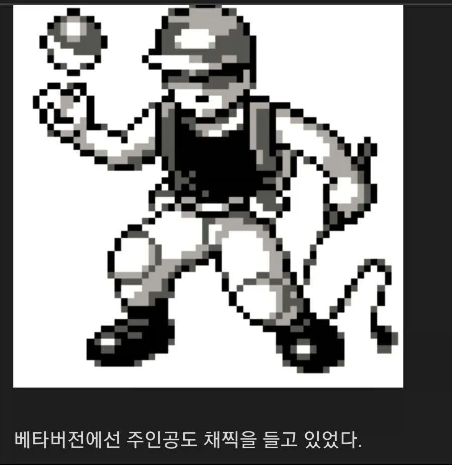 1세대 포켓몬에서 주요 설정으로 삼으려 했던것 (최종적으론 폐기함).jpg_2.webp
