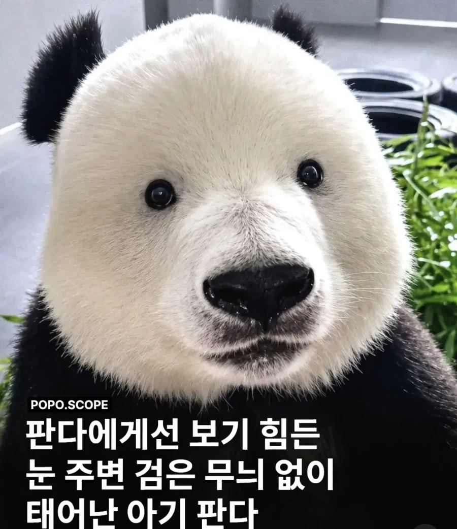 한국 애플스토어 유명하지 ㅋㅋㅋ 이미지 2