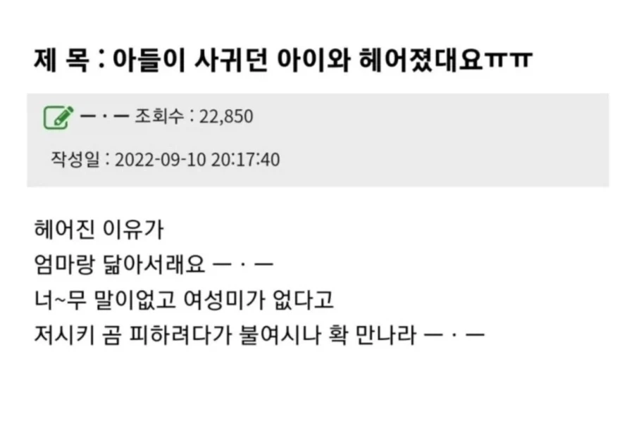 중국이 만든 천재 같은.슬리퍼 이미지 8