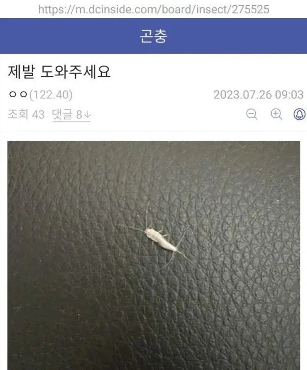 불쌍한 고전 RPG 주인공 이미지 10
