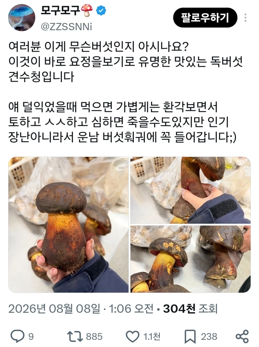 의외로 번개속성이 없는 몬스터 대표 이미지