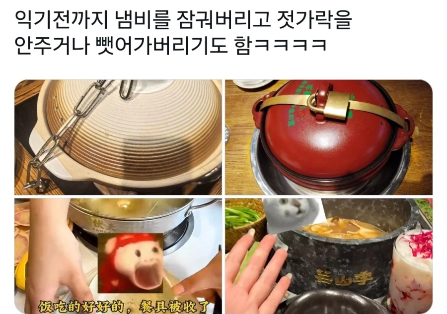 중국 운남의 죽을정도로 맛있는 버섯_2.webp