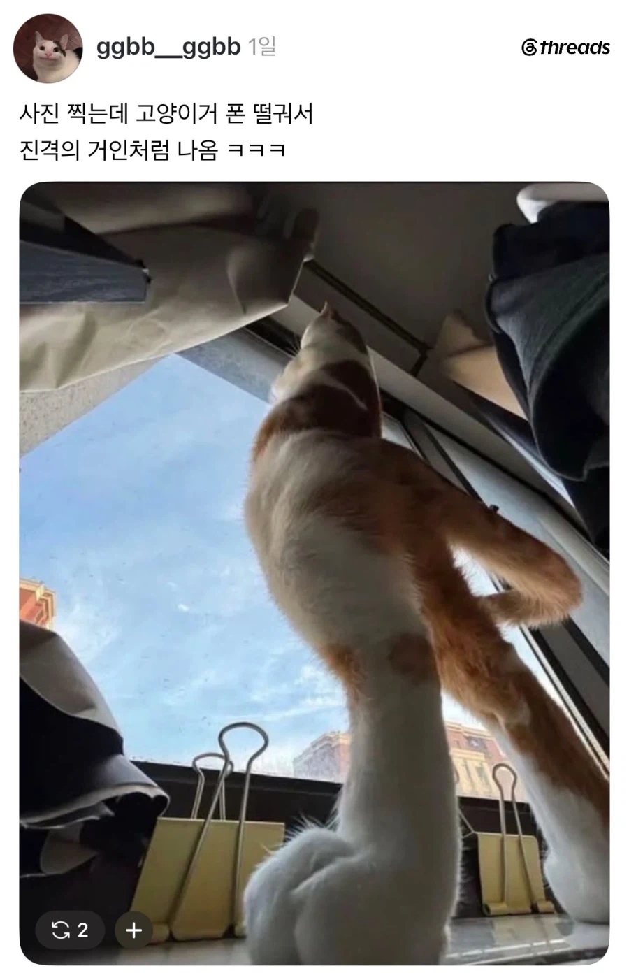 왕게임으로 시키면 안되는것 이미지 2