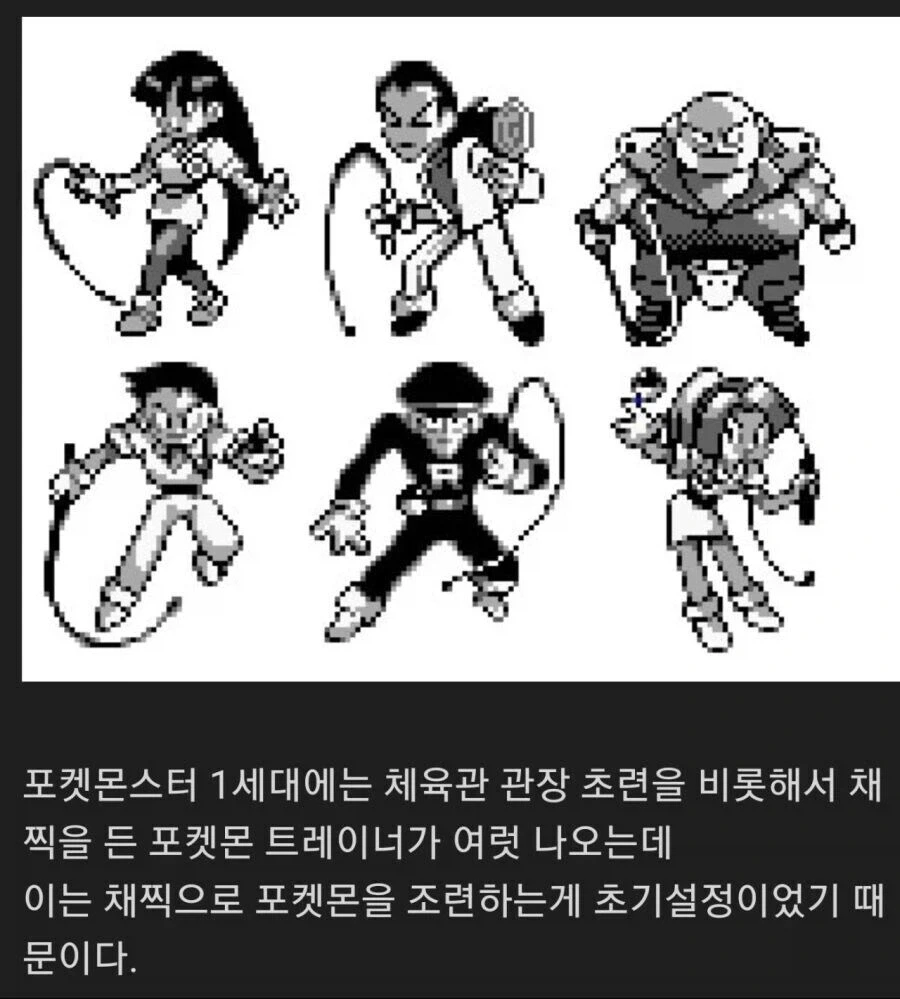 스윗포티들 진짜 가만 보면 뵈기싫어 죽겠음 대표 이미지