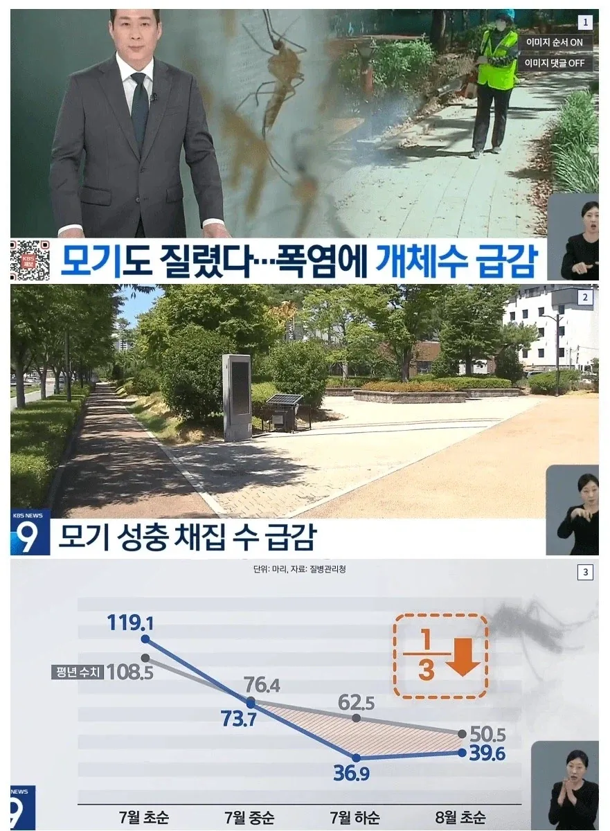인터넷 키배 역사에 손꼽히는 정직한 대화의 순간 이미지 5