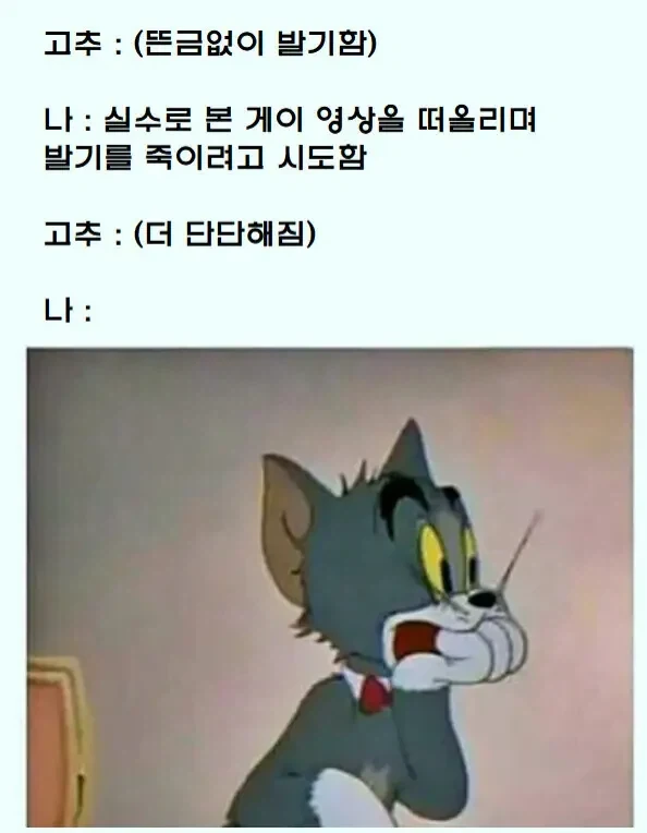 근데 도대체 아호이가 뭐야? 이미지 3