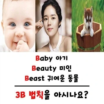 스파이 패밀리가 흥행할 수 있었던 이유_2.webp