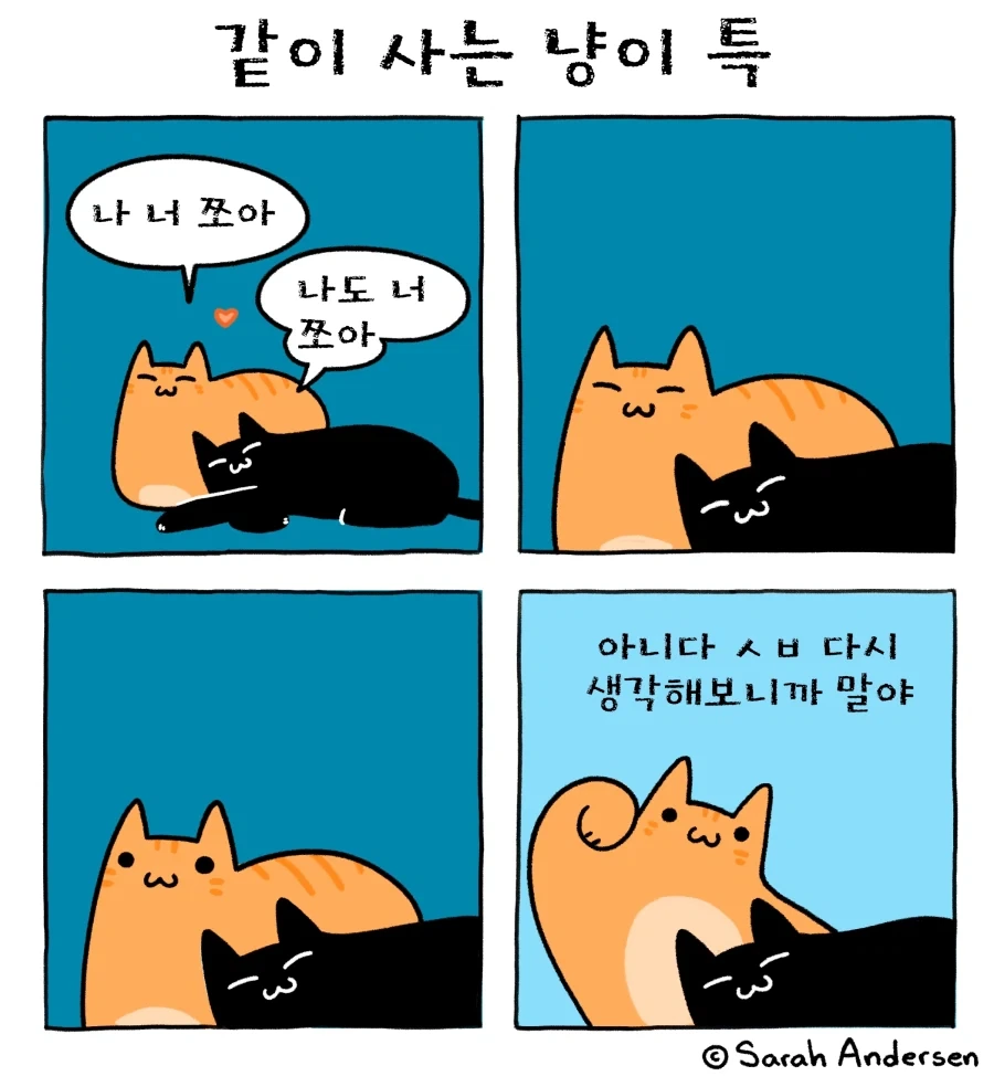 내 꿈은 비버가 되는거야 대표 이미지