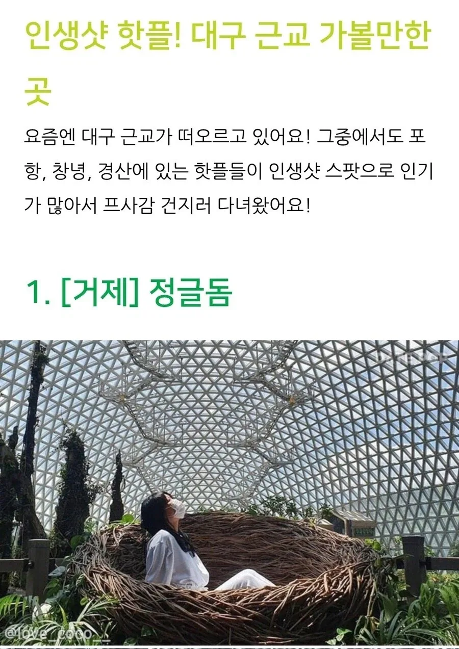 난 여태까지 양지 작가인줄 알았다 이미지 2