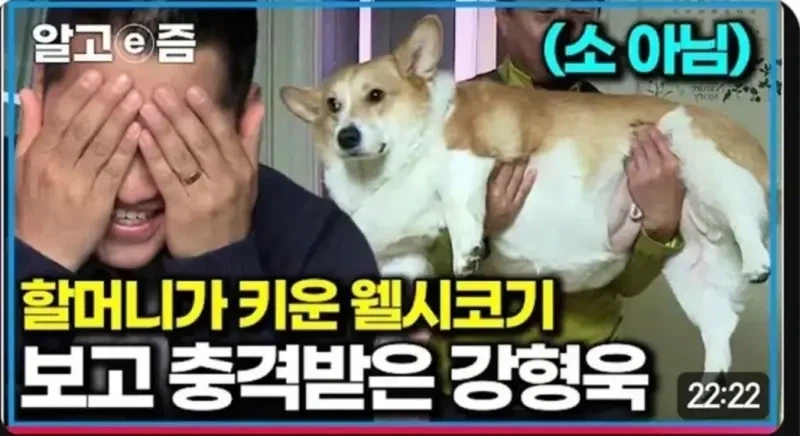 내 꿈은 비버가 되는거야 이미지 4