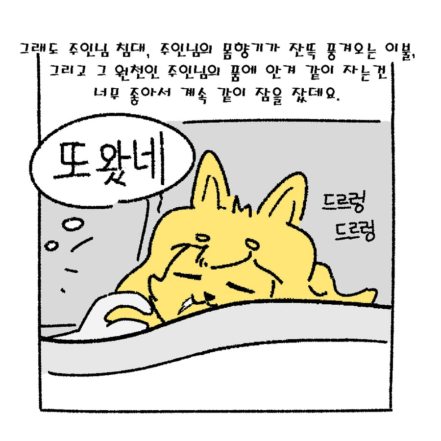 manga_2521199_012.webp
