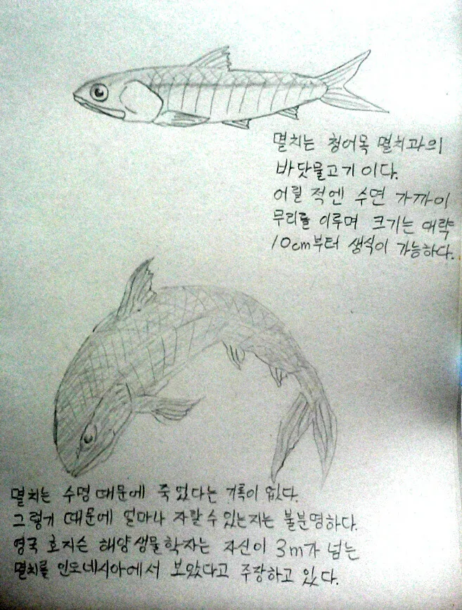 근육질 대머리 거한이 유부녀에게 못된 짓 하는 manga 이미지 5