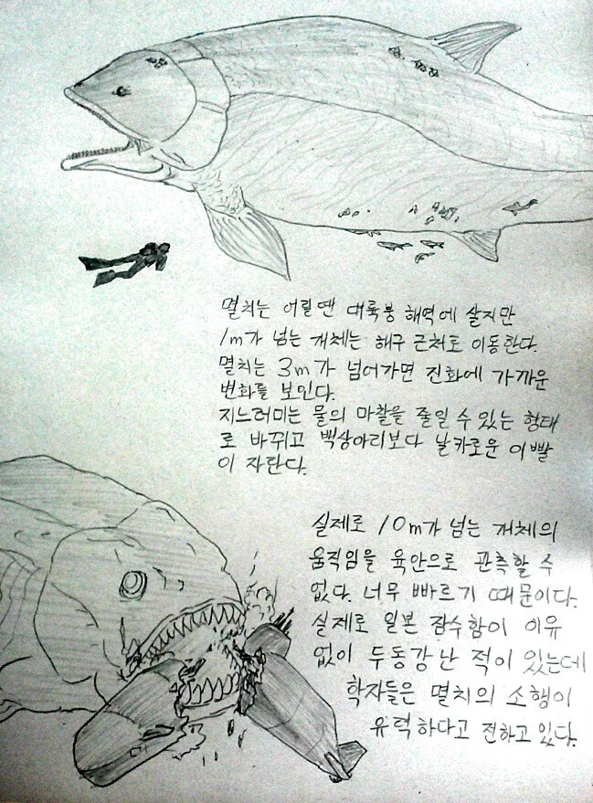 멸치의 신비.manga_3.jpg